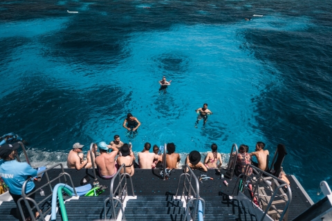 Van Cairns: snorkelervaring bij het Great Barrier ReefVanuit Cairns: snorkelcruise op het Great Barrier Reef
