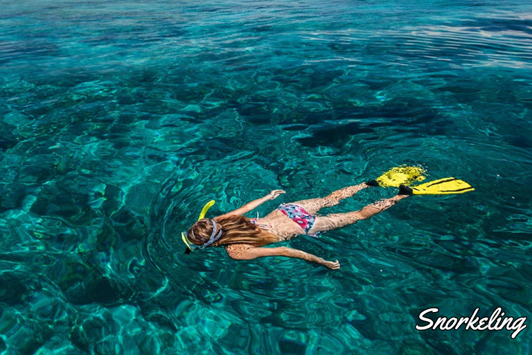 Mauritius: Ile aux Cerfs Catamaran Lagoon Experience + BBQ