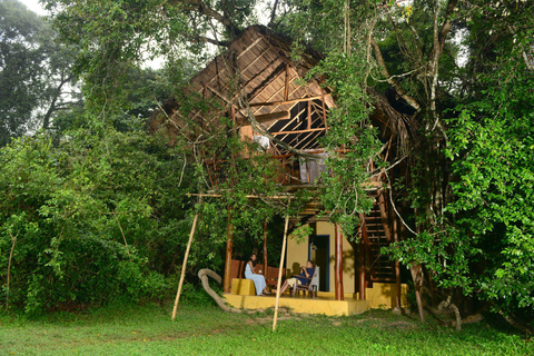 Sigiriya Treehouse Adventure – 3 Days 2 Nights from Colombo