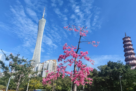 Guangzhou: Old & New City Tour with Pearl River Night Cruise Small Group (Max 15) : Old & New City Tour & Night Cruise