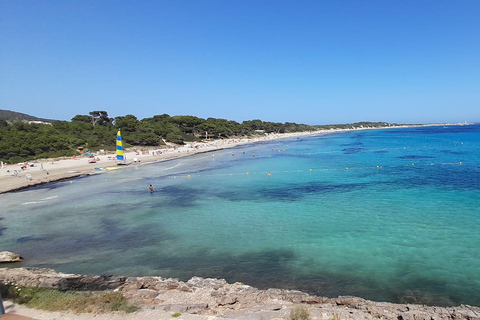 PROMENADE DANS LA NATURE, PLAGE, YOGA ET POSSIBILITÉ DE PIQUE-NIQUE BIO ET SAIN