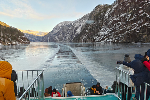 Von Bergen: Fjordrundfahrt nach MostraumenAb Bergen: Fjord-Bootsfahrt zur Meerenge Mostraumen