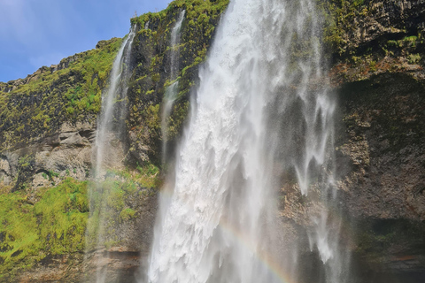 Iceland: Private South Coast, Waterfalls, and Glacier Hike
