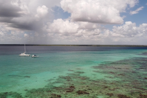 All Inclusive Saona Island Experience von Punta Cana aus