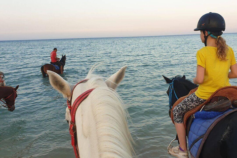 Sahl Hasheesh: Desert & Sea Horse Ride with Transfers
