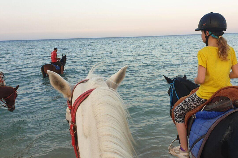 Sahl Hasheesh: Desert & Sea Horse Ride with Transfers
