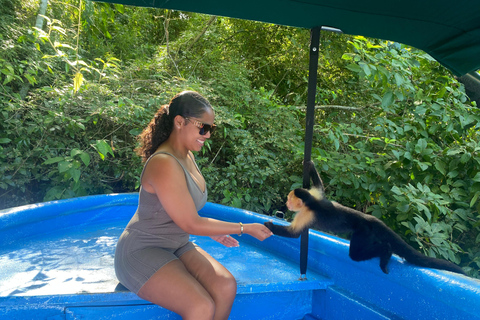 Canal do Panamá: passeio particular de barco e vida selvagem no Lago Gatun