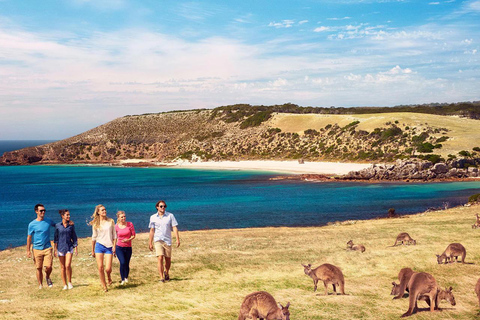 【Adelaide】6 Days Kangaroo Island Sights and Adelaide Package