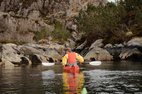 Bergen: Sea Kayaking Tour with Lunch and Transfer Bergen: Sea Kayaking Group Tour with Lunch and Transfer