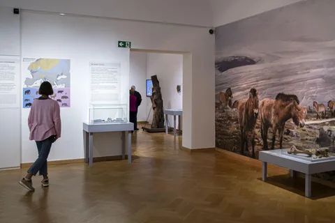 Entrada para el Lippische Landesmuseum Detmold