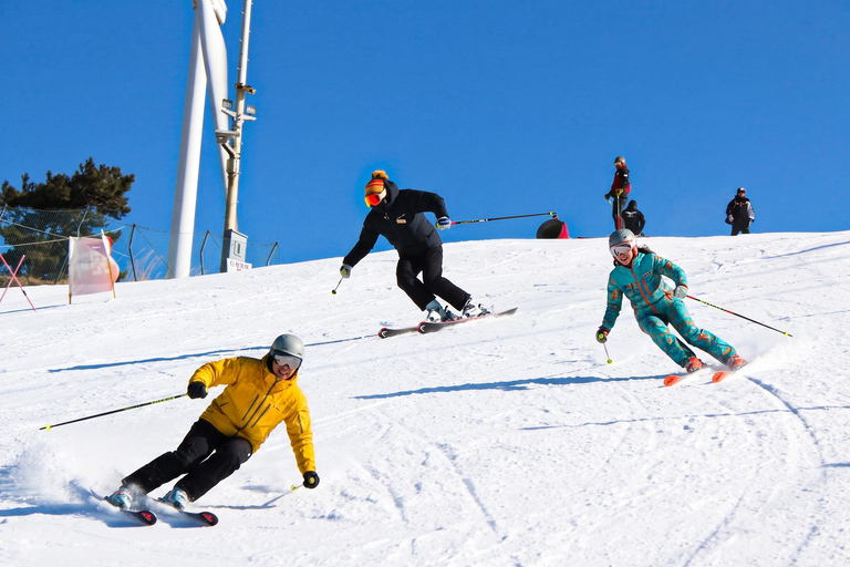 [Official] Busan: Eden Valley Resort Winter Ski Day Tour SHUTTLE Only - Meet at Haeundae Station