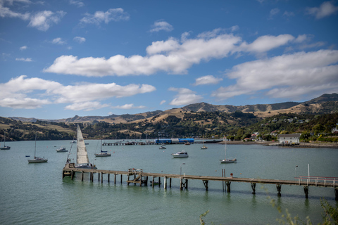 From Christchurch: Akaroa Day Tour with Nature Cruise
