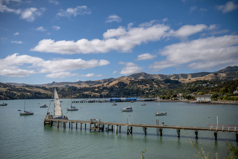 From Christchurch: Akaroa Day Tour with Nature Cruise