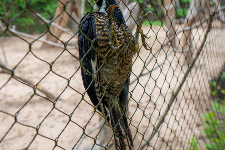 Entdecke den faszinierenden Nationalen Vogelpark auf der Isla Baru Cartagena