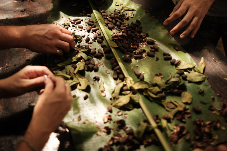 Cacao and Poza del Amor Experience in Tayrona