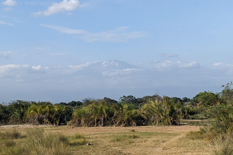 Day Trip: Materuni Waterfalls, Coffee, Springs & Maasai