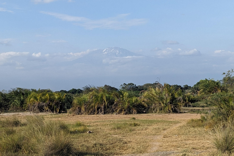 Day Trip: Materuni Waterfalls, Coffee, Springs & Maasai
