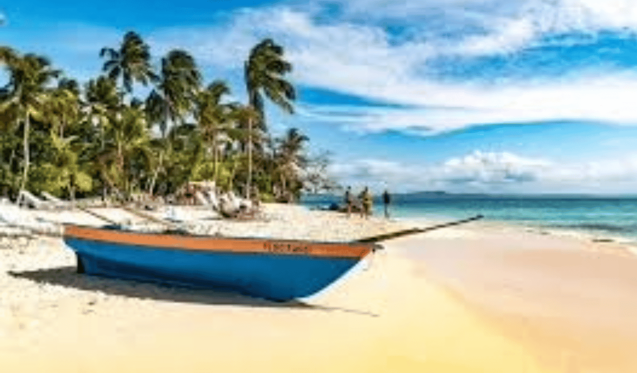Privat: Schnorchel-Tour in der Bucht von Samaná und in Cayo Levantado
