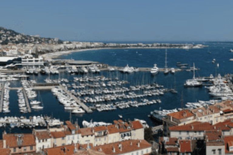 Cannes Shore Excursion: Private Provence Wine Experience