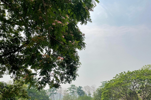 Traslado de carro particular de Chiang Rai para ou de Pai (Mae Hong Son)Pai (Mae Hong Son) para Chiang Rai, com devolução de 1 trajeto/carro SUV