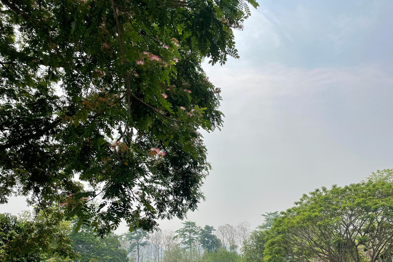 Traslado de carro particular de Chiang Rai para ou de Pai (Mae Hong Son)Pai (Mae Hong Son) para Chiang Rai, com devolução de 1 trajeto/carro SUV