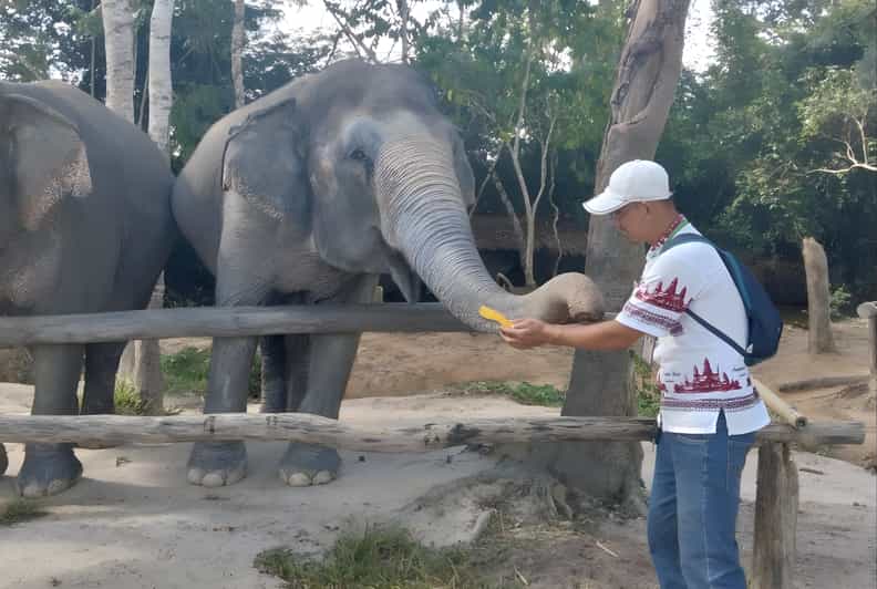 Siem Reap: Bonteay Srei & Elephant Sanctuary Private Tour