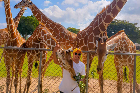 Coron: Calauit Safari Adventure