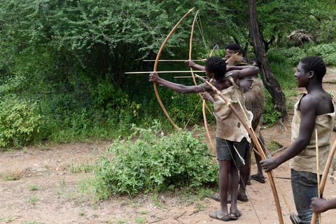 Tarangire-Nationalpark &amp; Eyasi-See (Datoga- &amp; Hadzabe-Dörfer)Premium Lodge im Tarangire-Nationalpark
