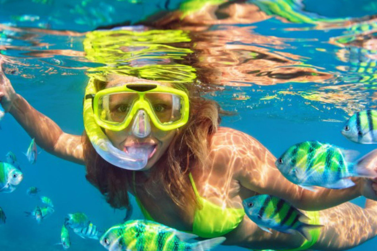 Zanzibar : excursion de plongée avec tuba et voile au récif de Kiwengwa