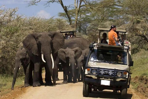 2 DAGARS ÄVENTYRSSAFARI I TANSANIA2 DAGARS ÄVENTYRSSAFARI I TANZANIA