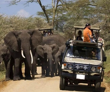 2-DAAGSE AVONTUURLIJKE SAFARI IN TANZANIA