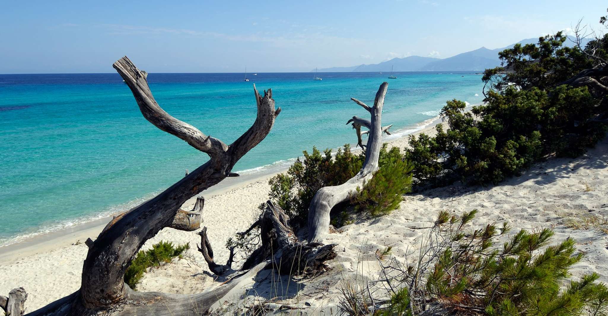 From Calvi, Agriate Guided Jeep Tour to Lotu and Saleccia - Housity