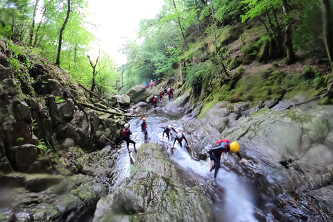 Snowdonia : Visite guidée des gorges avec des guides experts