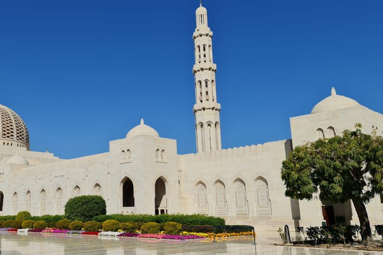 Oman Full-Day Tour: Muscat, Wadi & Wahiba Sand Desert Sunset