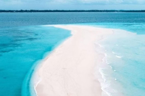 Zanzíbar: tour de un día a la isla Pungume y esnórquelZanzíbar: tour de un día a la isla de Pungume y snorkel