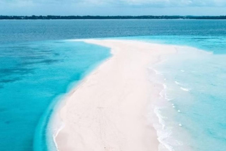 Zanzíbar: tour de un día a la isla Pungume y esnórquelZanzíbar: tour de un día a la isla de Pungume y snorkel