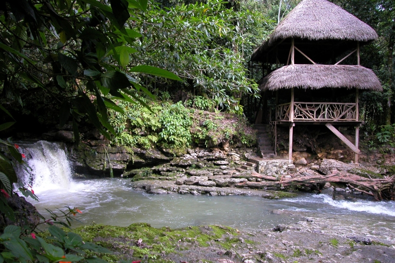 3 jours Jungle Tour Expedition Amazonia Ecuador Tout compris