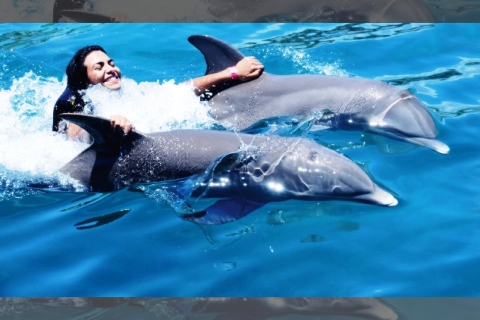 Nado met Delfines en Ocean World Puerto Plata