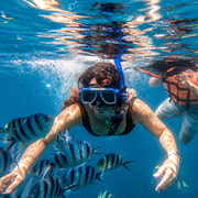 Port Barton Island Adventure: Turtles, Reefs & Local Lunch