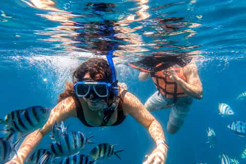 Port Barton Island Adventure: Turtles, Reefs & Local Lunch - Image 3
