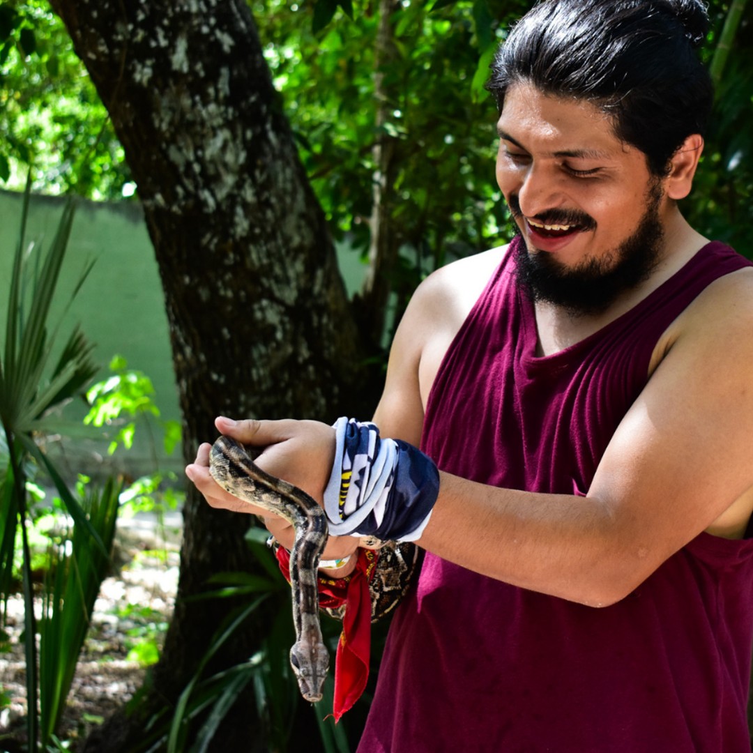 Akumal: Monkey Sanctuary, ATV, Cenote, & Yalku Snorkel Tour