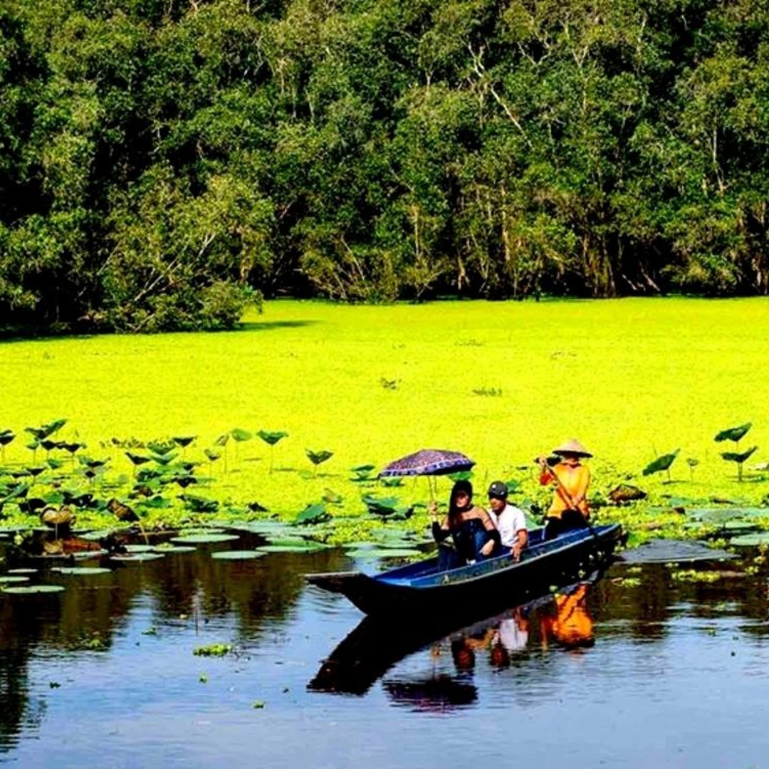 Galería de fotos para redes