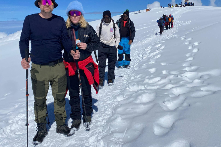 Kilimanjaro: 6-Day Western Breach Route Guided Climb