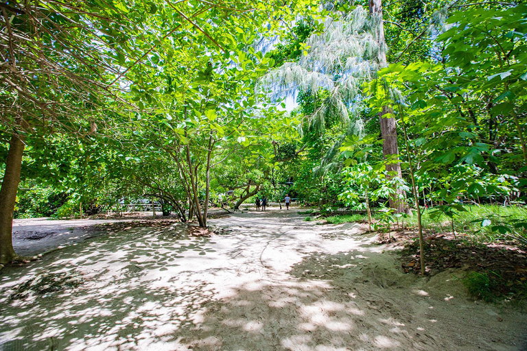 Från Krabi: Dagstur till Maya Bay, Bamboo och Phi Phi-öarna