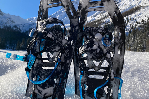 Ehrwald : Randonnée en raquettes à Zugspitze avec vue sur les montagnes