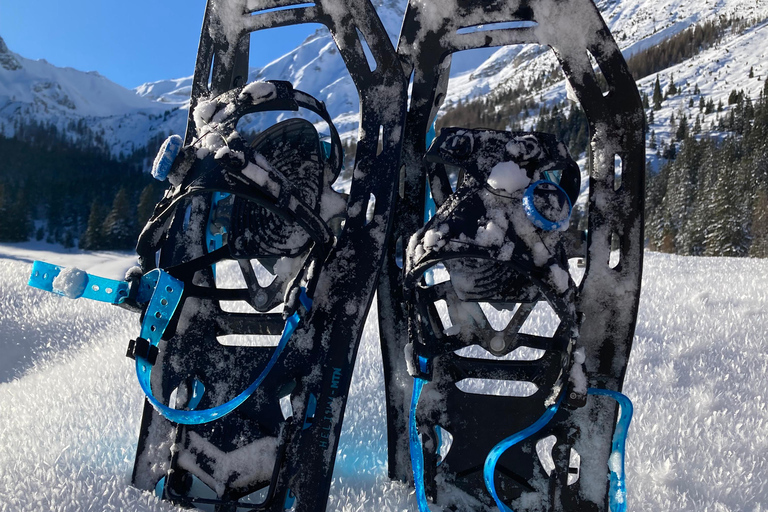 Ehrwald : Randonnée en raquettes à Zugspitze avec vue sur les montagnes