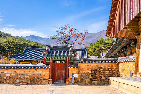 Busan: Discovery Tour With Snow &amp; UNESCO Spot