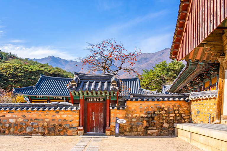 Busan: Discovery Tour With Snow &amp; UNESCO Spot