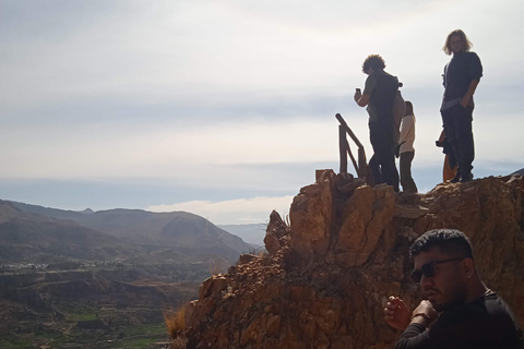 Exkursion: Colca Canyon mit Transfer nach Puno.