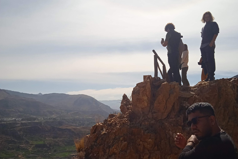 Exkursion: Colca Canyon mit Transfer nach Puno.